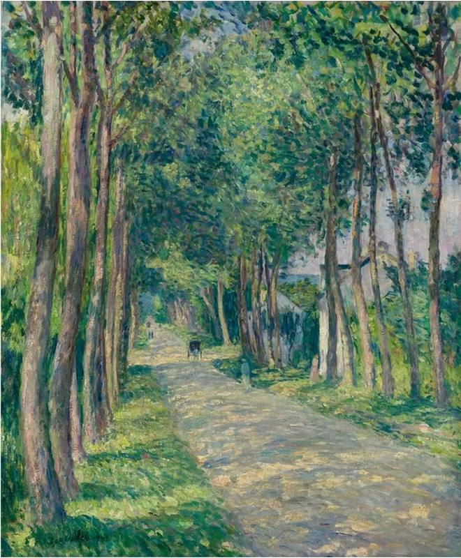 Strada soleggiata